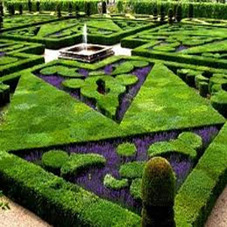 jardin à la française